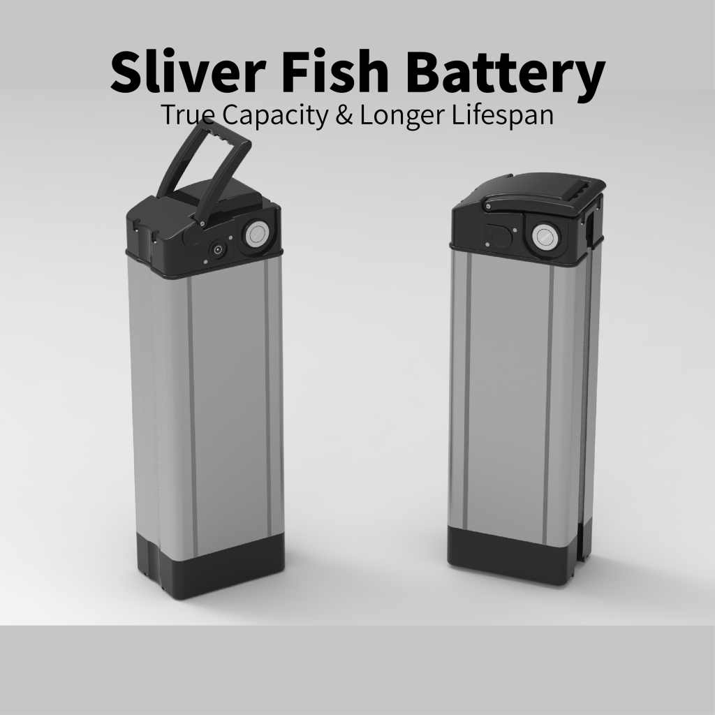 Electric bicycle batteries from Chinese factories